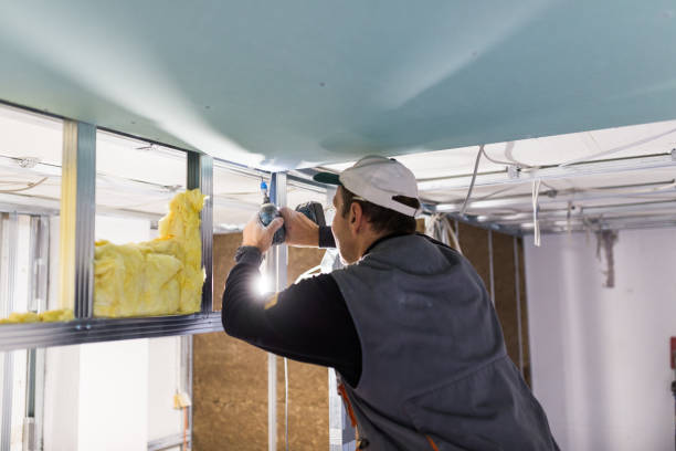 Insulation Repair Services in Baldwyn, MS